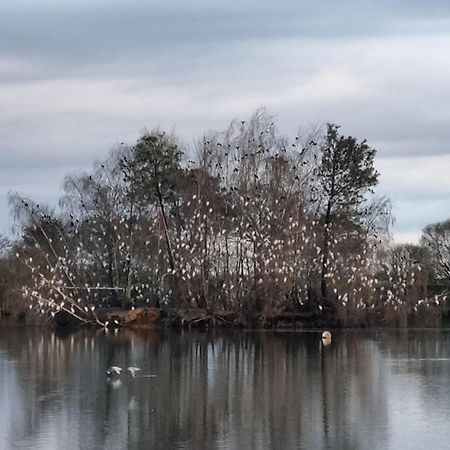 Le Calme Plessé Exterior foto