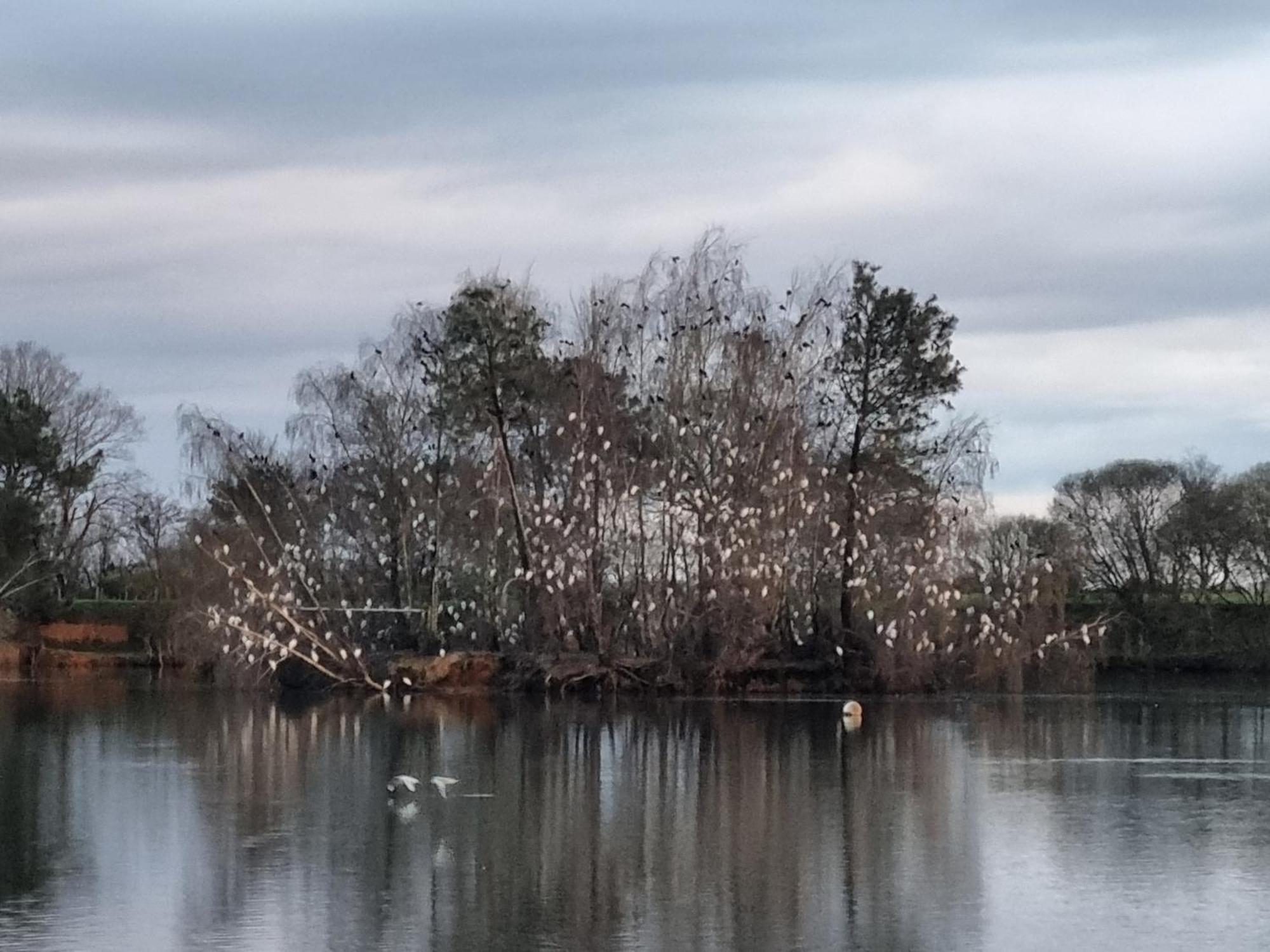 Le Calme Plessé Exterior foto
